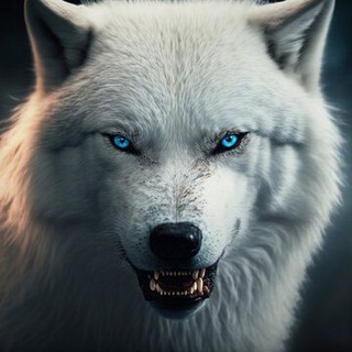 Telegram profile photo for Oq bo'rilar