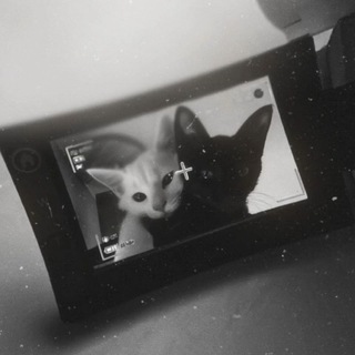 Telegram profile photo for 3D стикеры, наклейки