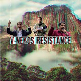 Telegram profile photo for Vneko Resistance