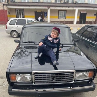 Telegram profile photo for ДВижуха