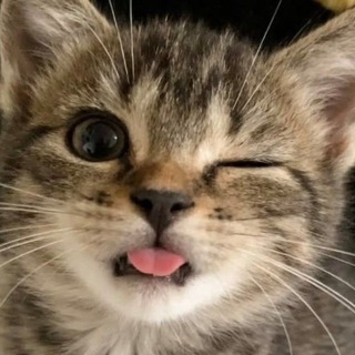 Telegram profile photo for Переходник
