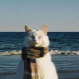 Telegram profile photo for Вивовский беспредел 😋