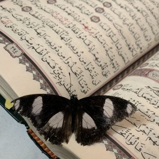 Telegram profile photo for {إِنَّ مَعِي رَبِّي}🤎
