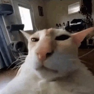 Telegram profile photo for ОНБ "сергей егоров и его шиза"