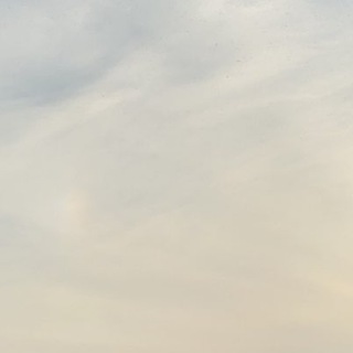 Telegram profile photo for 杭州平价吃鸡