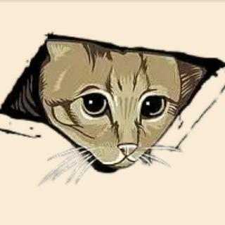 Telegram profile photo for Ceilingcat | $CEILING CAT