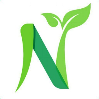 Telegram profile photo for NewsPlant : Local News Network