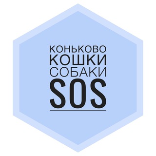 Telegram profile photo for КОНЬКОВО: кошки, собаки, наши животные