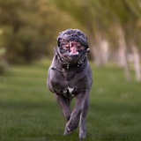 Telegram profile photo for КИПяТИЛЬНИКъ