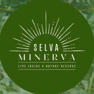Telegram profile photo for Selva Minerva .com