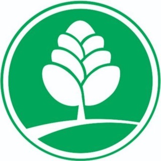 Telegram profile photo for Объединенный санаторий «Подмосковье»