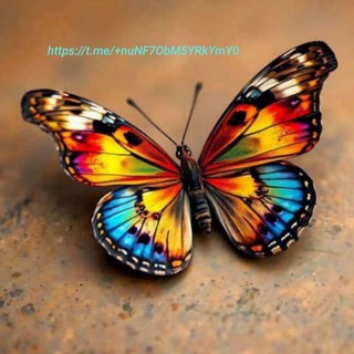 Telegram profile photo for 🤍🧚🎗️پروانه ی قشنگم🤍🧚
