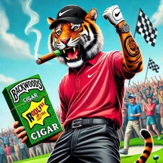 Telegram profile photo for TIGERLINKS PORTAL