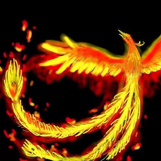 Telegram profile photo for 九紫离火雲-频道