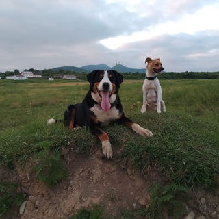 Telegram profile photo for 🐾Двое в поле🥏