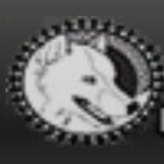 Telegram profile photo for nymeriaTV