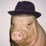 Telegram profile photo for скругинс