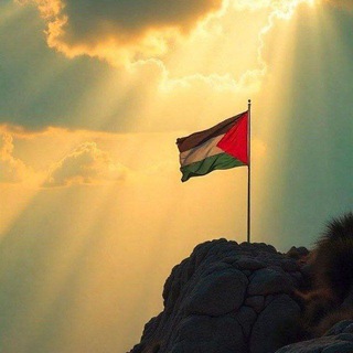 Telegram profile photo for الناشط أبو العز🇵🇸
