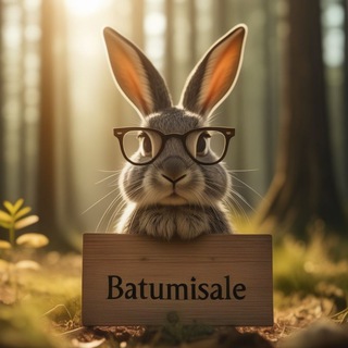 Telegram profile photo for BatumiSale