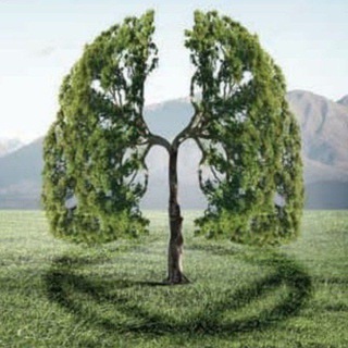 Telegram profile photo for اطلاعات اخبار گزارشات