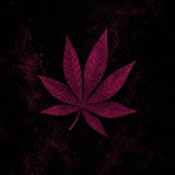 Telegram profile photo for 𝐖eed𝐕oid