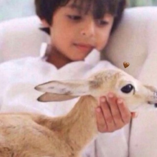 Telegram profile photo for مـدآهـيـل♩