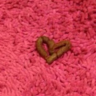 Telegram profile photo for Dank Joint