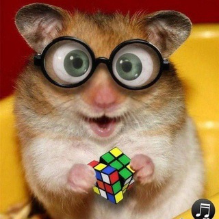 Telegram profile photo for боссин