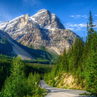 Telegram profile photo for Путешествия по Природным Местам
