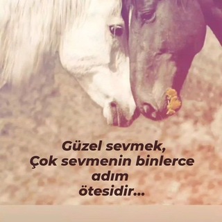 Telegram profile photo for Şiir
