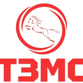 Telegram profile photo for МФК ТЗМС