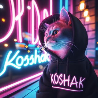 Telegram profile photo for Koshak 🐈⬛