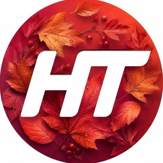 Telegram profile photo for Телеканал НТ | Новгородская область