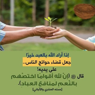Telegram profile photo for الوظائف التعليمية بالسعودية