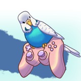 Telegram profile photo for Берлога попуги | Katagara