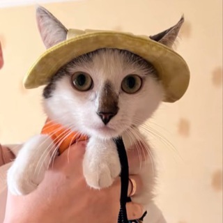 Telegram profile photo for FRM.228