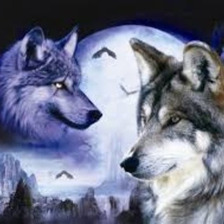 Telegram group profile photo for Wolf Trading FX