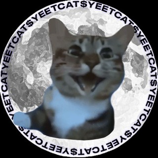 Telegram profile photo for $YEETCAT PORTAL