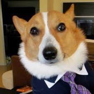 Telegram profile photo for Какие-то юридические мемы