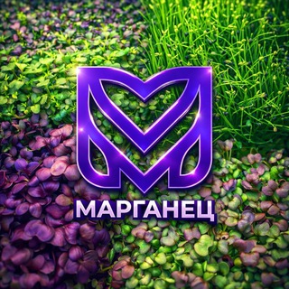 Telegram profile photo for МИКРОЗЕЛЕНЬ МАРГАНЕЦ - ЛОГИКА РОСТА