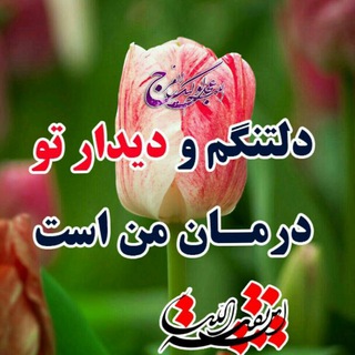 Telegram profile photo for نکتههای ناب