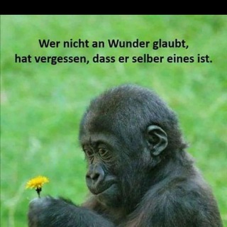 Telegram profile photo for 😇ZEIT FÜR WUNDER 😇