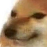 Telegram profile photo for 和平繁星通知频道