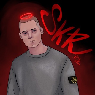 Telegram group profile photo for SKRypto | Chat
