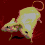 Telegram profile photo for IFoundYouAGAIN (DEMO)