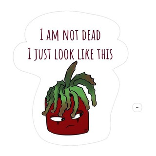 Telegram profile photo for plant meme🍀