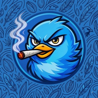 Telegram profile photo for AlphaScreener