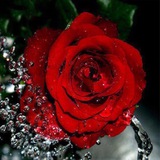 Telegram profile photo for خـواطـر راقـيـهہ بـذوقـي🌸