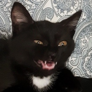 Telegram profile photo for Отдушка
