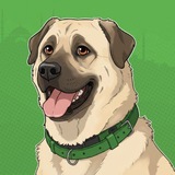 Telegram profile photo for Boji